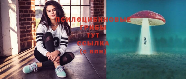 спайс Алексин