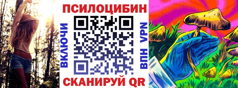 цены   Ростов-на-Дону  Галлюциногенные грибы Psilocybe 